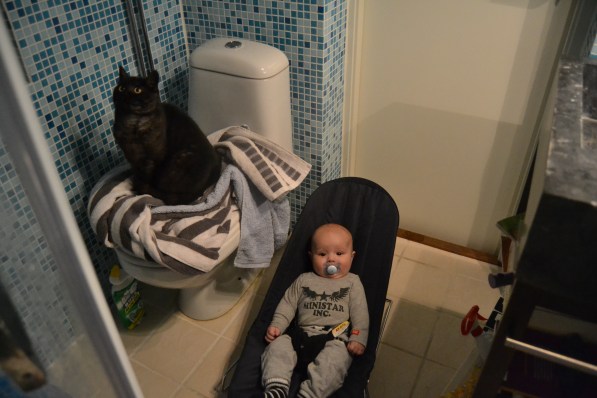 Katten Rut och B gör mig sällskap i badrummet