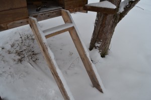 Och så tar vi ett låångt kliv DSC_1132