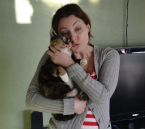 Mys! Sköldpaddsfärgad katt