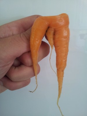 Likheten är slående. 20130716_153546