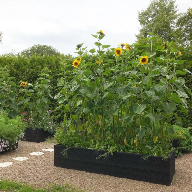 b59e0b11-f4f4-4a73-9643-cc1b1a235f66